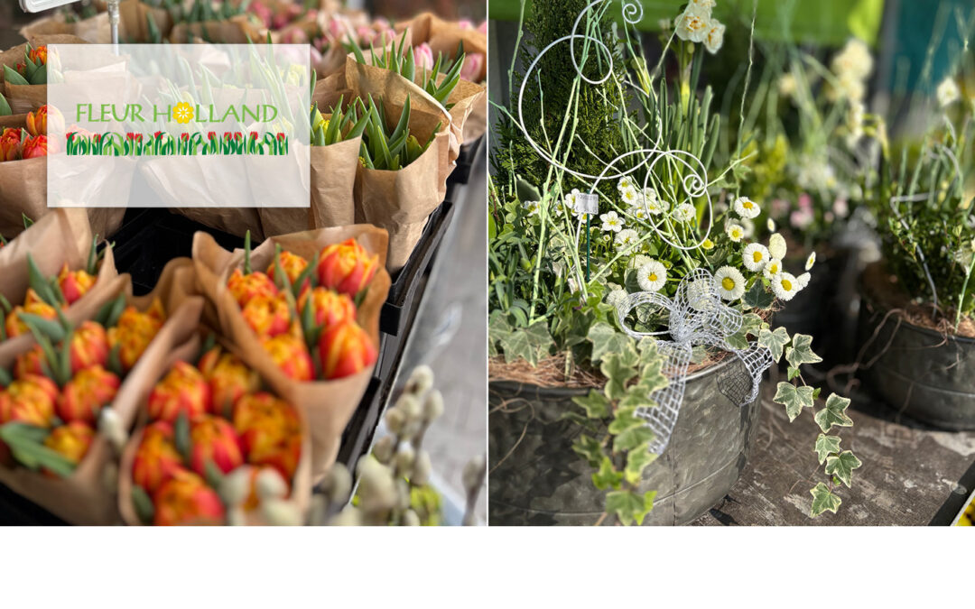 Blütenzauber bei Fleur Holland